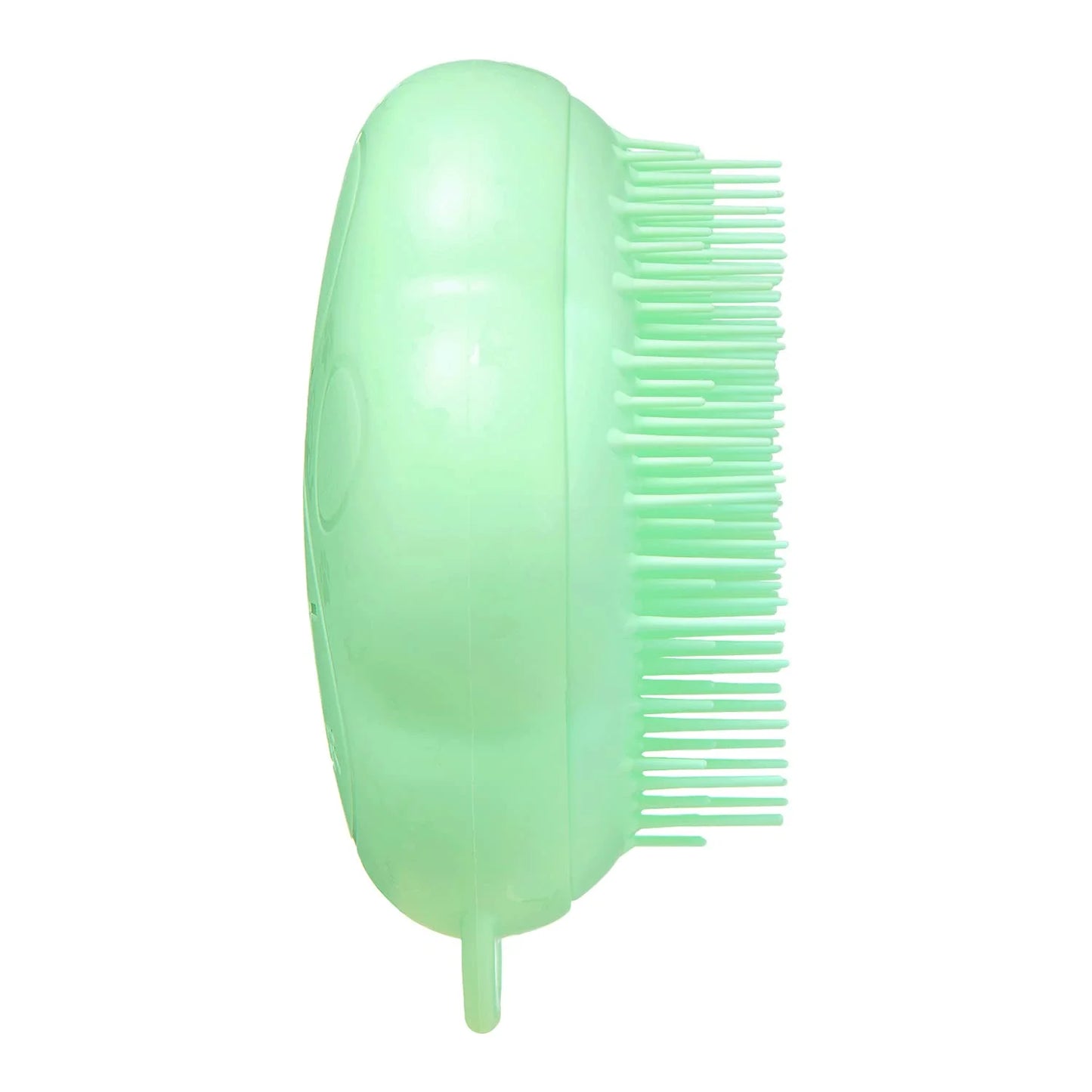 Tangle Teaser Pet Teaser Cat Friendly Mint