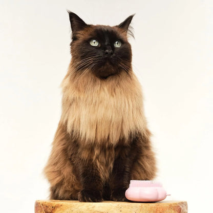 Pet Teezer Cat Brush for De-Shedding Short to Medium Fur, Millennial Pink