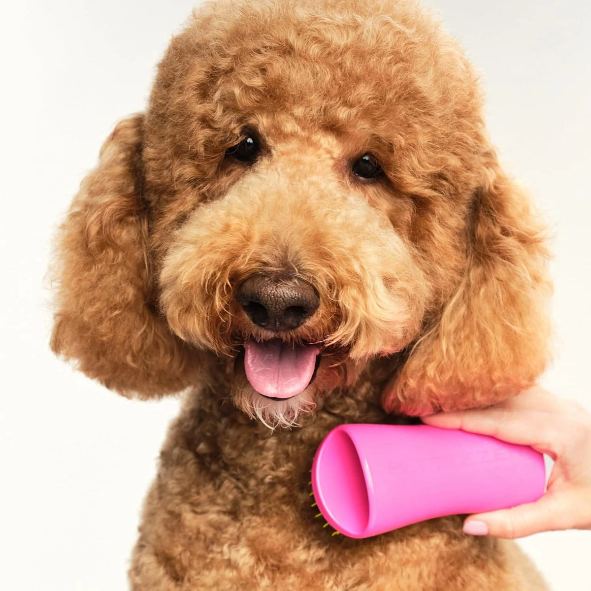 Pet Teezer Detangling Dog Brush for Long Hair Breeds, Large, Blue & Grey