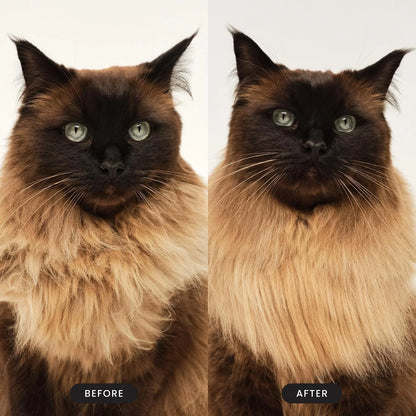 Pet Teezer Cat Brush for De-Shedding Short to Medium Fur, Millennial Pink
