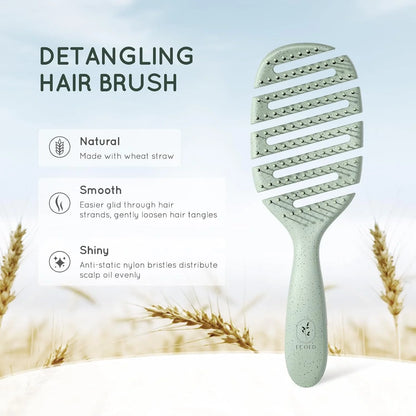Ecoed Hair brush, Vented Detangling Brush, Quickly Detangles and Smooths hair for Curly, Thick, and Straight Hair, Hair Brush for Women and Men, Blue, Eco Friendly, Sustainable Material