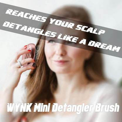 WYNK Mini Travel Detangling Hairbrush Detangler with Cover, Champagne Gold