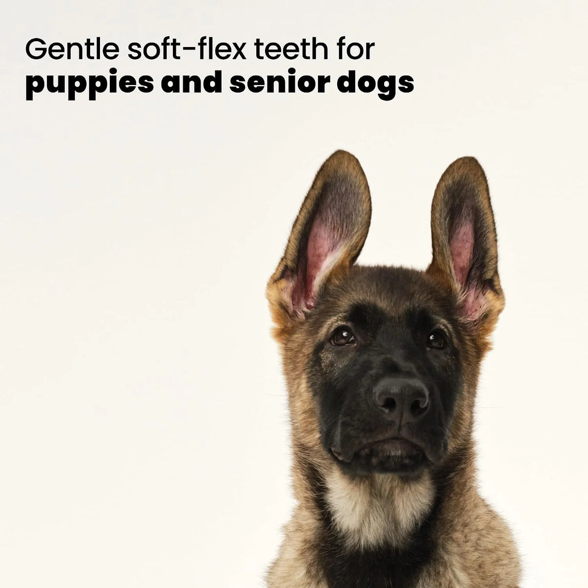 Pet Teezer Puppy Essential Dog Brush, Extra Soft Teeth, Wet or Dry, Purple