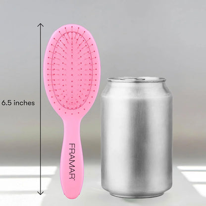 FRAMAR Wet Hair Brush Detangler, Detangling Hairbrush For Women – Giraffe