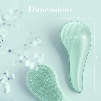 Crave Naturals Mini Detangler Hair Brush Turquoise – Glide Thru Hair Detangler Brush for Women, Kids & Toddlers – Gentle Scalp Care, No-Pain Tangle-Free Hairbrush for All Hair Types, Travel Hair Brush