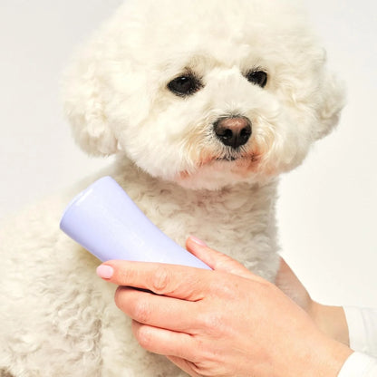 Pet Teezer Detangling Dog Brush for Long Hair Breeds, Large, Blue & Grey