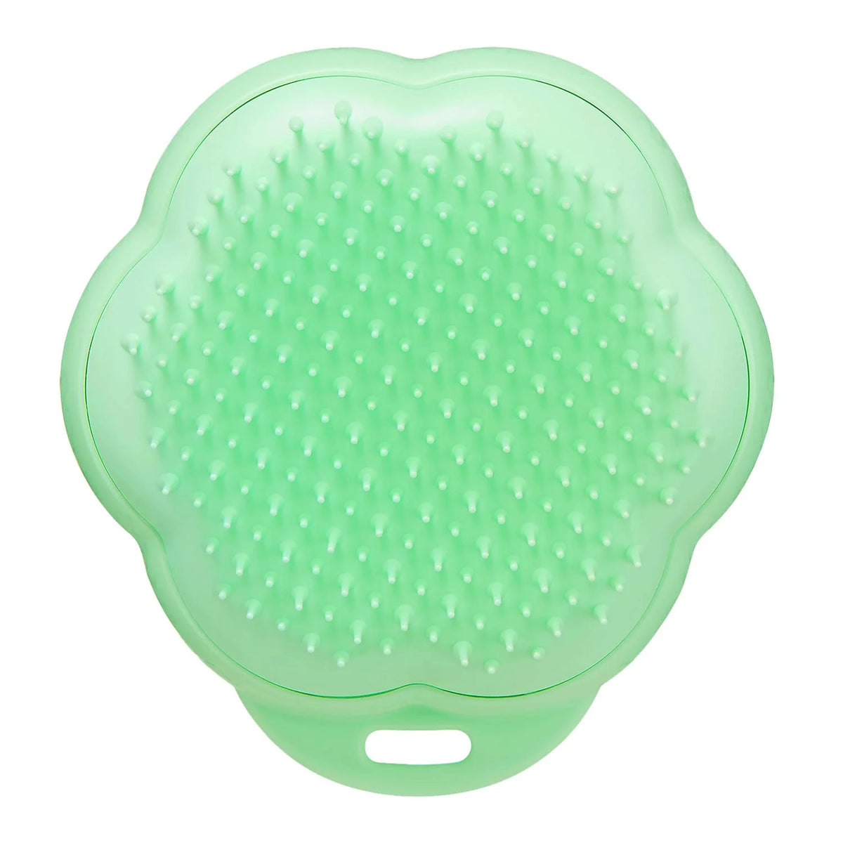 Tangle Teaser Pet Teaser Cat Friendly Mint