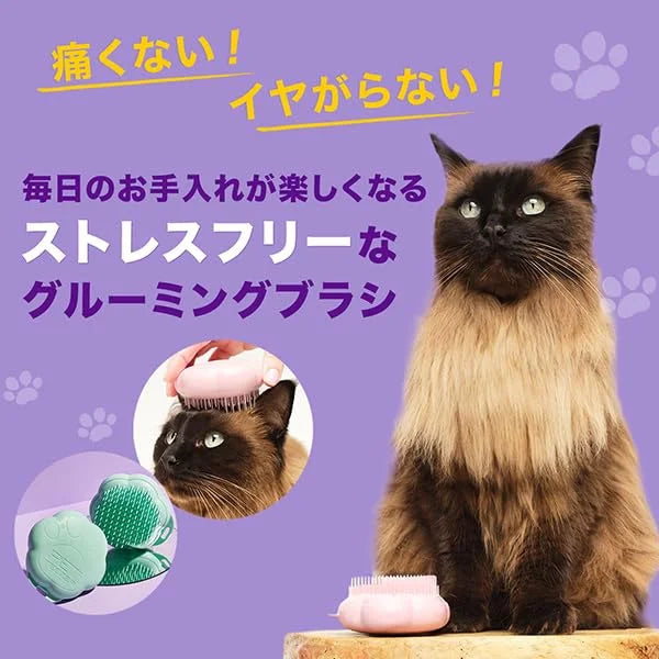 Tangle Teaser Pet Teaser Cat Friendly Mint