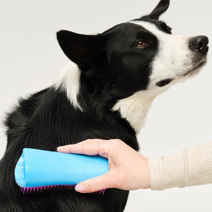 Pet Teezer De-Shedding Dog Brush for Long Hair Breeds, Large, Blue & Pink