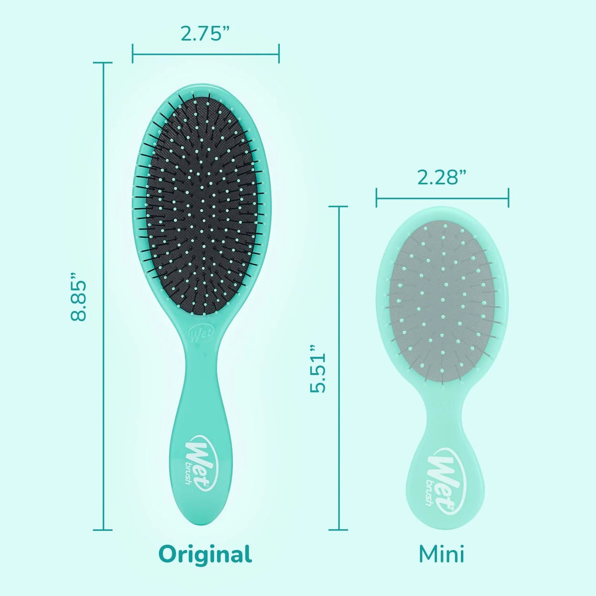 Wet Brush Original Detangler Hair Brush,Amazon Exclusive Aqua-Ultra-Soft IntelliFlex Bristles-Detangling Hairbrush Glides Through Tangles-All_Hair Types(Wet&Dry Hair)-Women & Men,2 Count (Pack of 12)