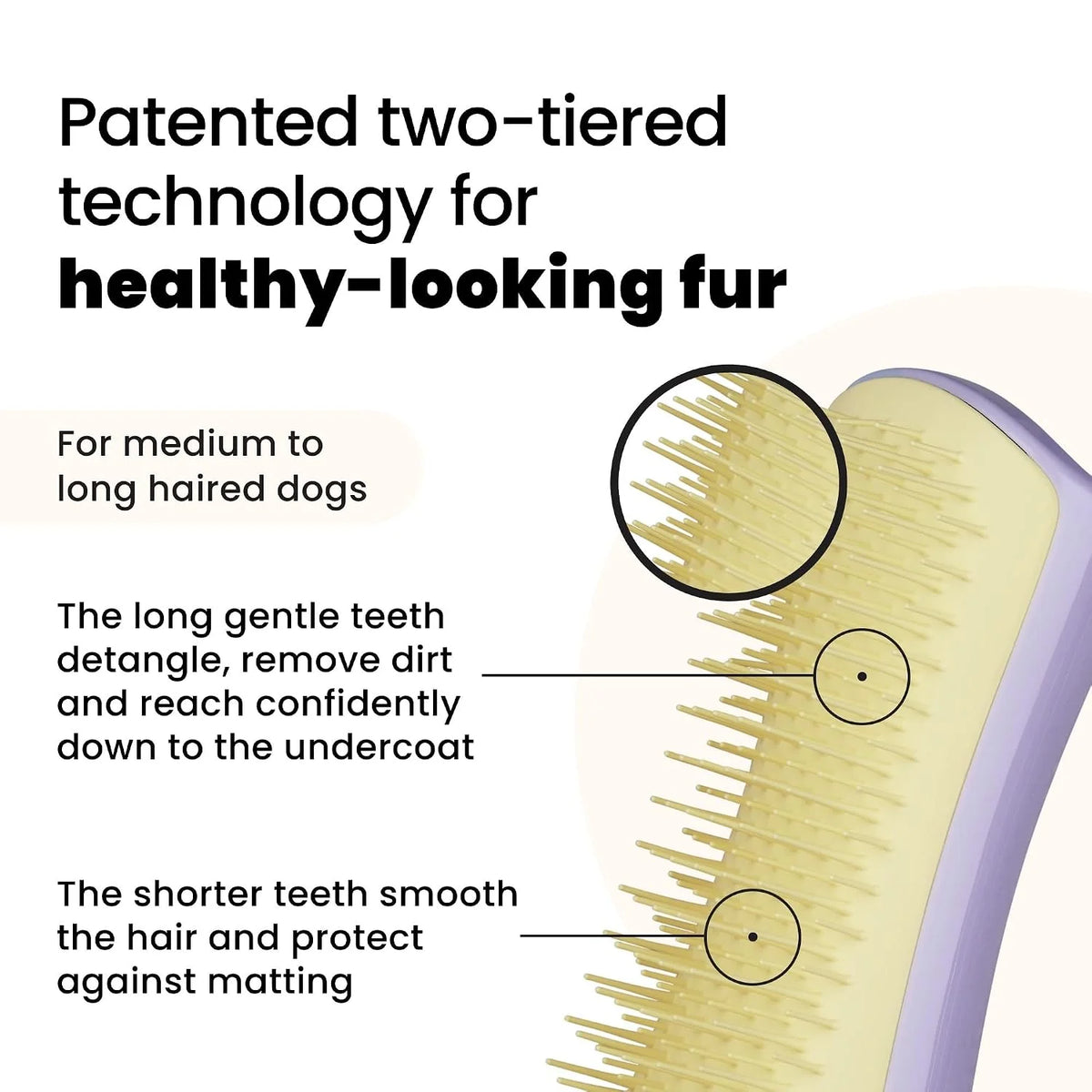 Pet Teezer Detangling Dog Brush for Long Hair Breeds, Large, Blue & Grey